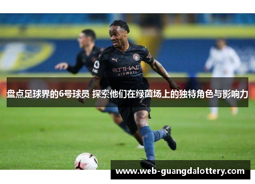 盘点足球界的6号球员 探索他们在绿茵场上的独特角色与影响力 盘点足球界的6号球员 探索他们在绿茵场上的独特角色与影响力