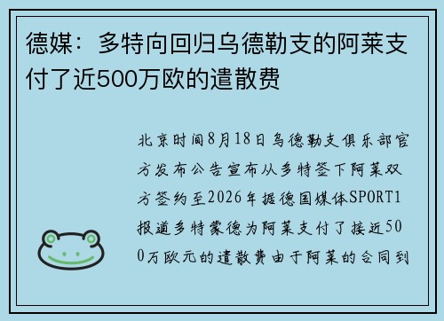 德媒:多特向回归乌德勒支的阿莱支付了近500万欧的遣散费 德媒:多特向回归乌德勒支的阿莱支付了近500万欧的遣散费